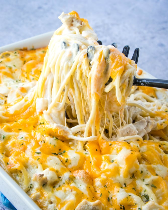 Easy Chicken Tetrazzini Recipe - Family Fresh Meals