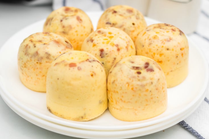 Easy Egg Bites in the Instant Pot - Cooking With Carlee