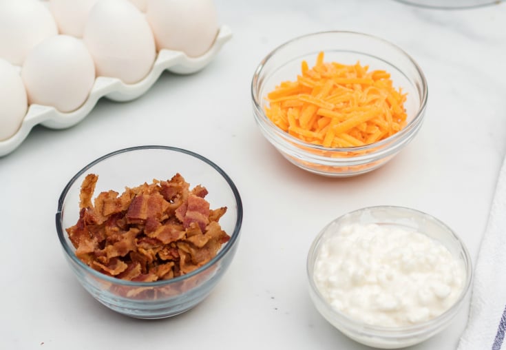 Instant Pot Bacon Cheddar Egg Bites - Ingredients of eggs, bacon, cheddar and cottage cheese