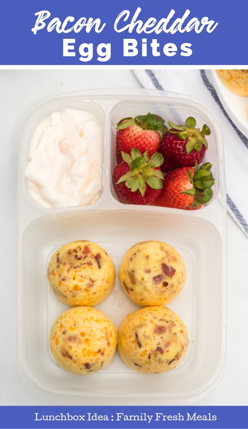 Instant Pot Bacon Cheddar Egg Bites packed in Easy Lunchboxes