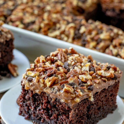 Chocolate Turtle Poke Cake Recipe - Family Fresh Meals