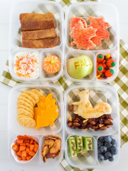 Cute Fall Lunchbox Ideas - Family Fresh Meals