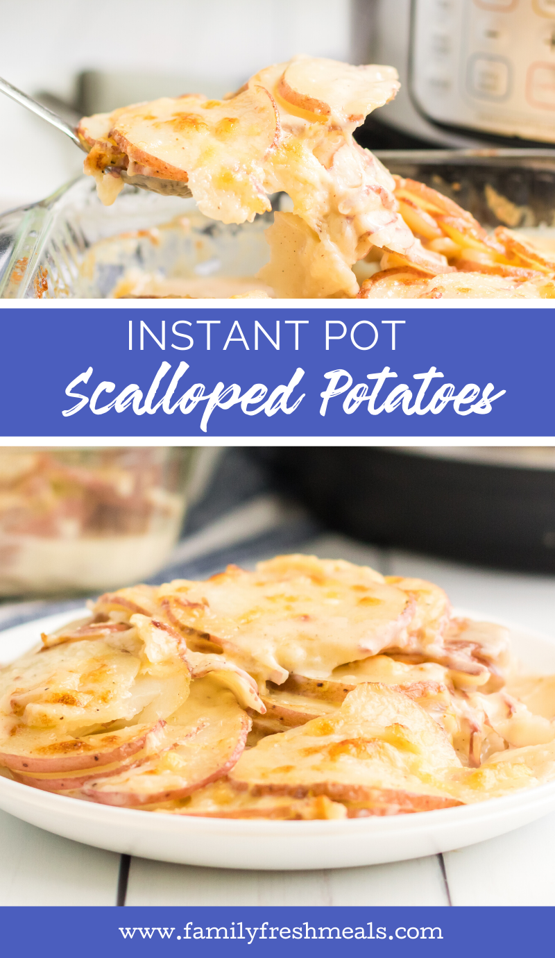 Instant Pot Scalloped Potatoes #instantpot #scallopedpotatoes #potatoes #cheesypotatoes #cheesy #holidayrecipe #easyrecipe #familyfreshmeals via @familyfresh