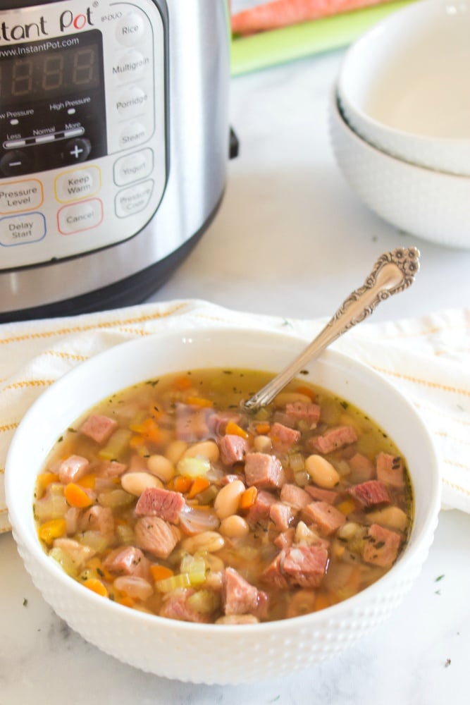 Instant Pot Ham and Bean Soup