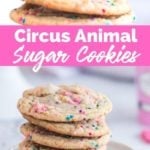 Circus Animal Sugar Cookies Recipe from Family Fresh Meals