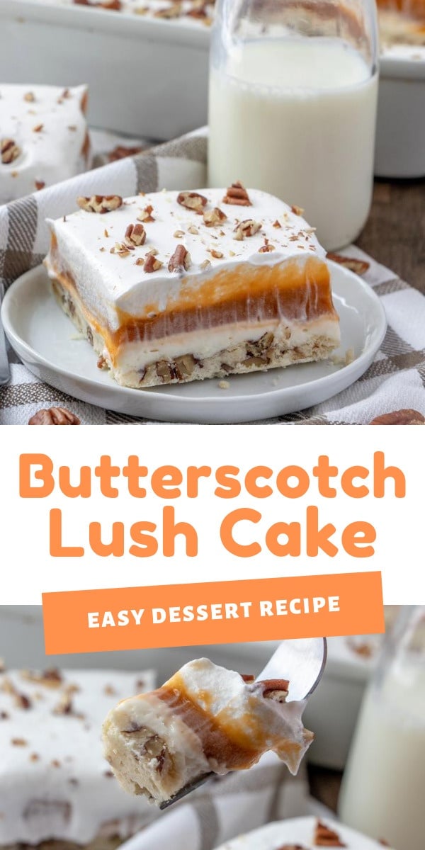 This Butterscotch Lush Cake recipe is a sweet combo of pecans and butterscotch, this may be my most decadent lush cake ever. via @familyfresh