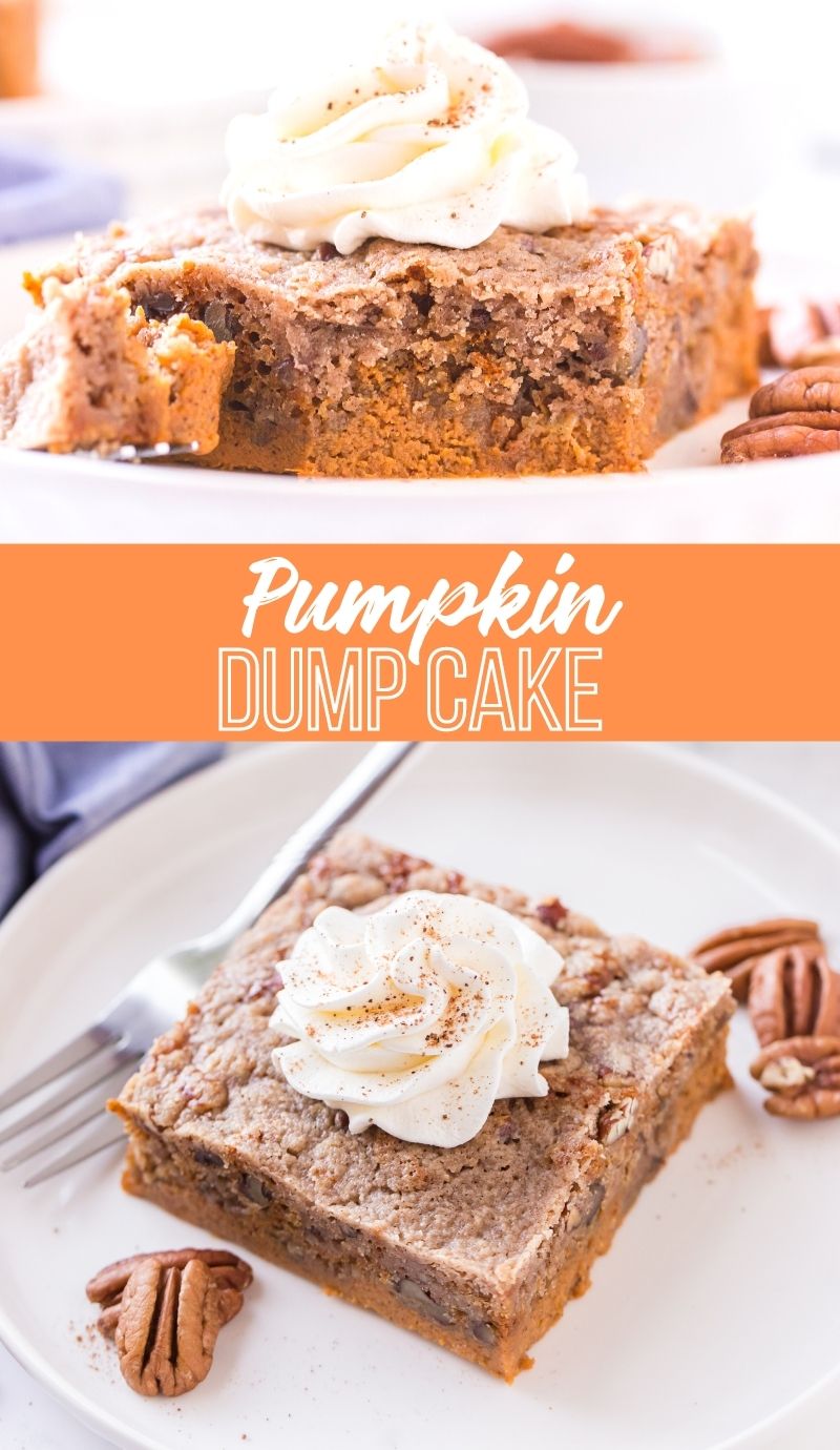 Easy Pumpkin Dump Cake! My most requested dessert of the fall! #familyfreshmeals #recipe #pumpkin #baking #fallbaking via @familyfresh