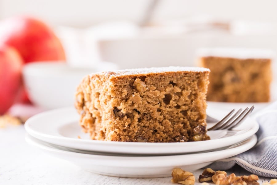 piece of apple sauce cake on a plate