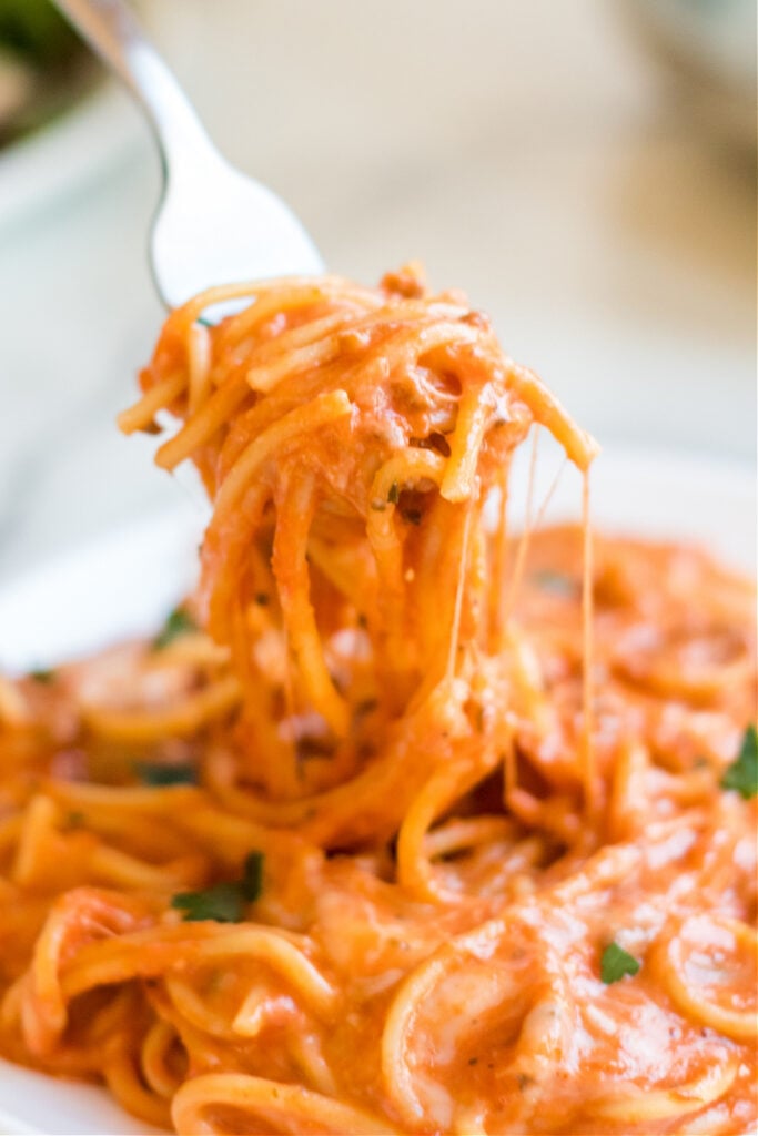 plate of creamy spaghetti with a fork picking up some