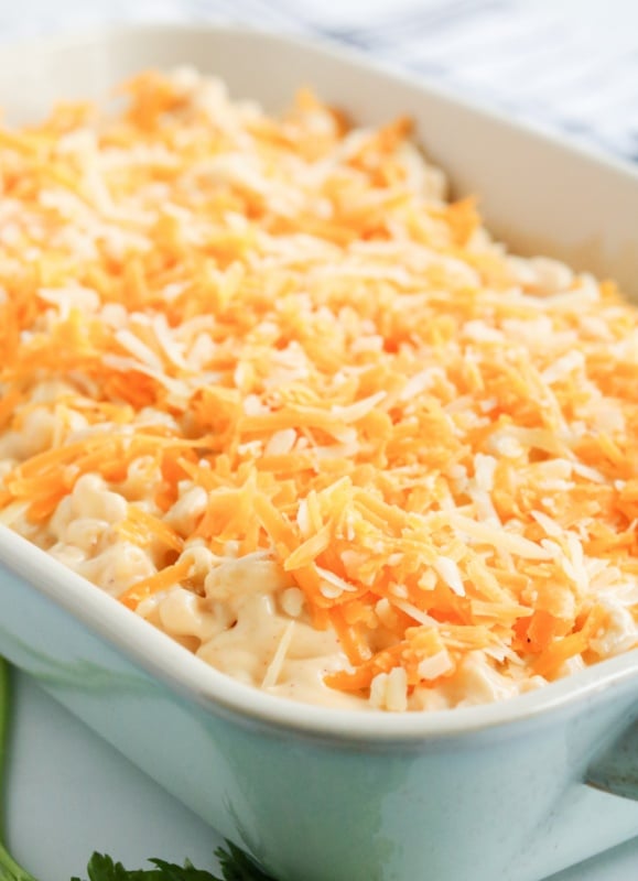 shredded cheese sprinkled on top of mac and cheese 