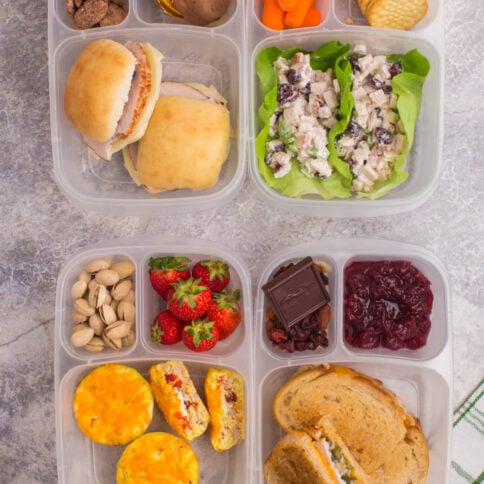 top down image of 4 lunchboxes packed with Thanksgiving leftovers