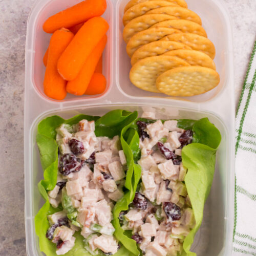 lunchbox packed with turkey salad lettuce cups, baby carrots and carrots