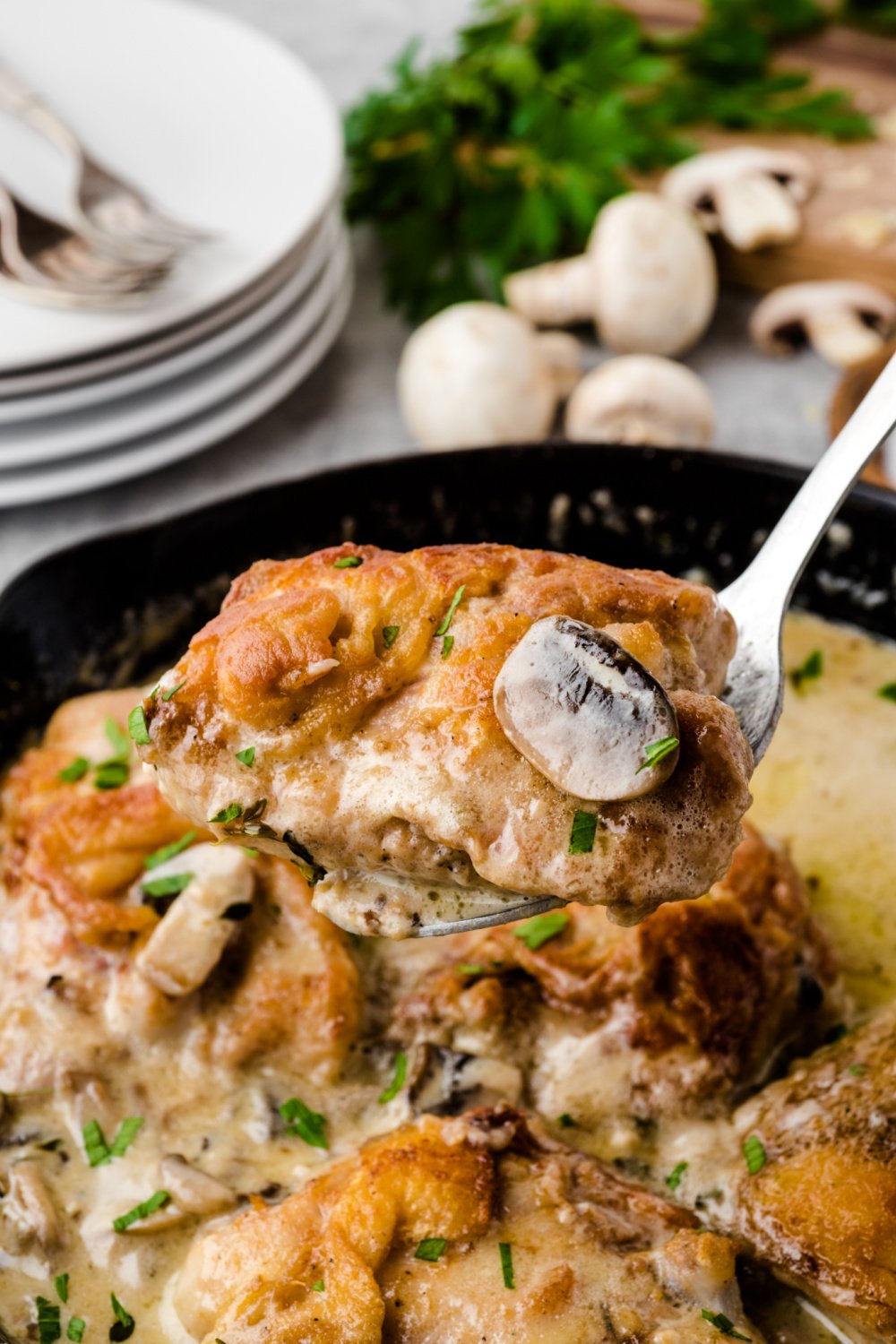 This Creamy Mushroom Chicken Thighs Skillet packs all the rich flavors of cream, mushroom, garlic and cheese resulting in a family favorite recipe that will come together within 40 minutes! via @familyfresh