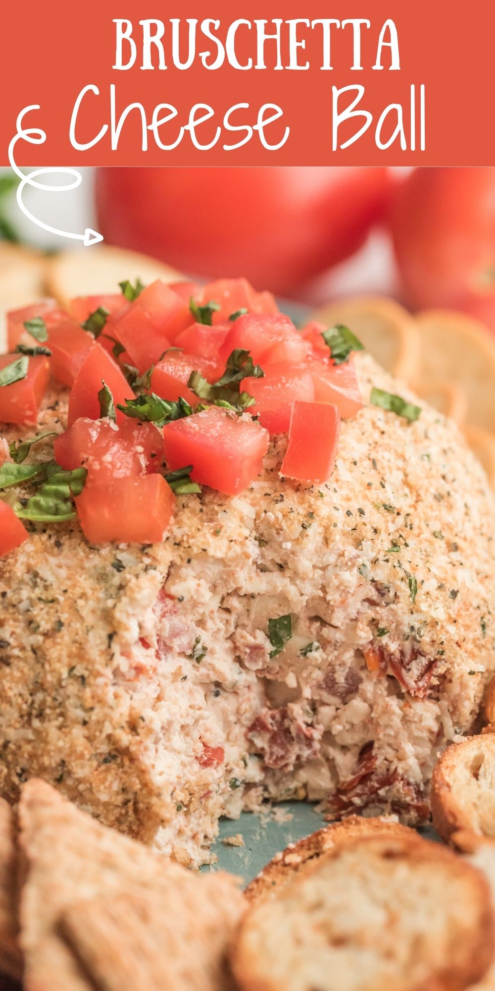 My Bruschetta Cheese Ball is like biting into a ray of Italian sunshine. It's the perfect appetizer to add to your next gathering. via @familyfresh