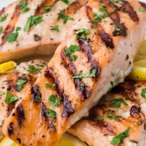 Marinated Grilled Salmon fillets on plate