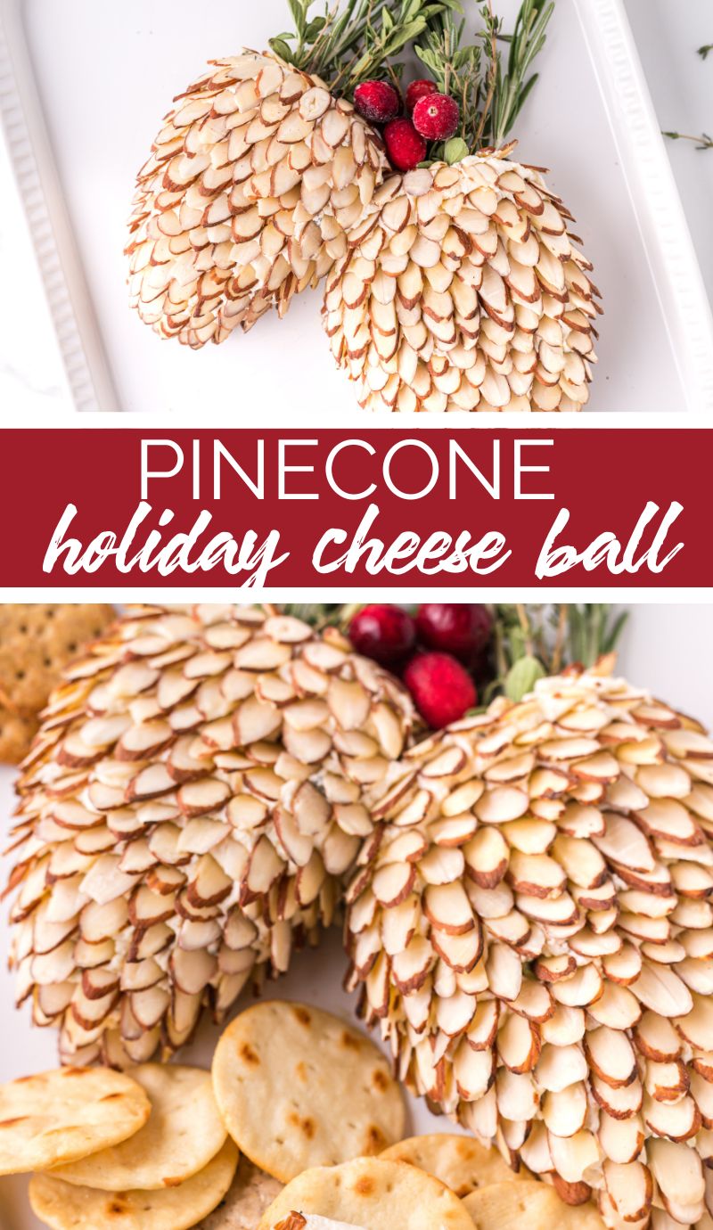 Would you believe me if I told you that at holiday dinner the cheese ball will be the talk of the dinner. The pinecone holiday cheeseball will be a showstopper. via @familyfresh