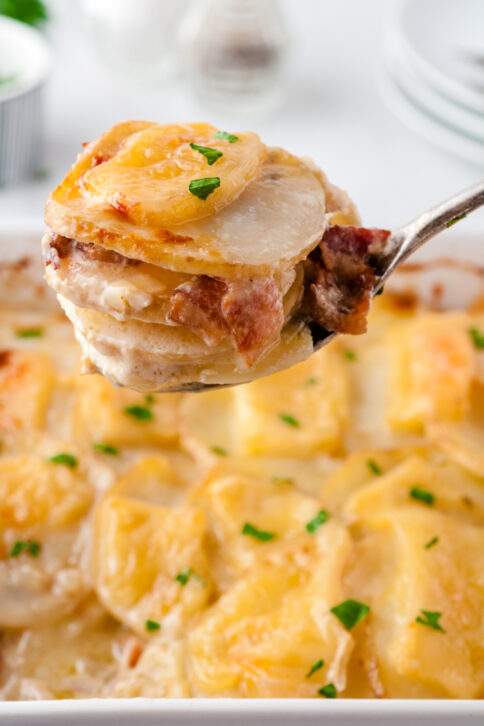 cheesy scalloped potatoes with bacon being scooped up with a spoon