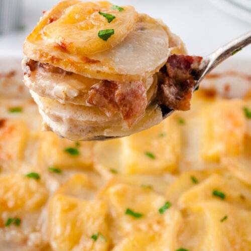 cheesy scalloped potatoes with bacon being scooped up with a spoon