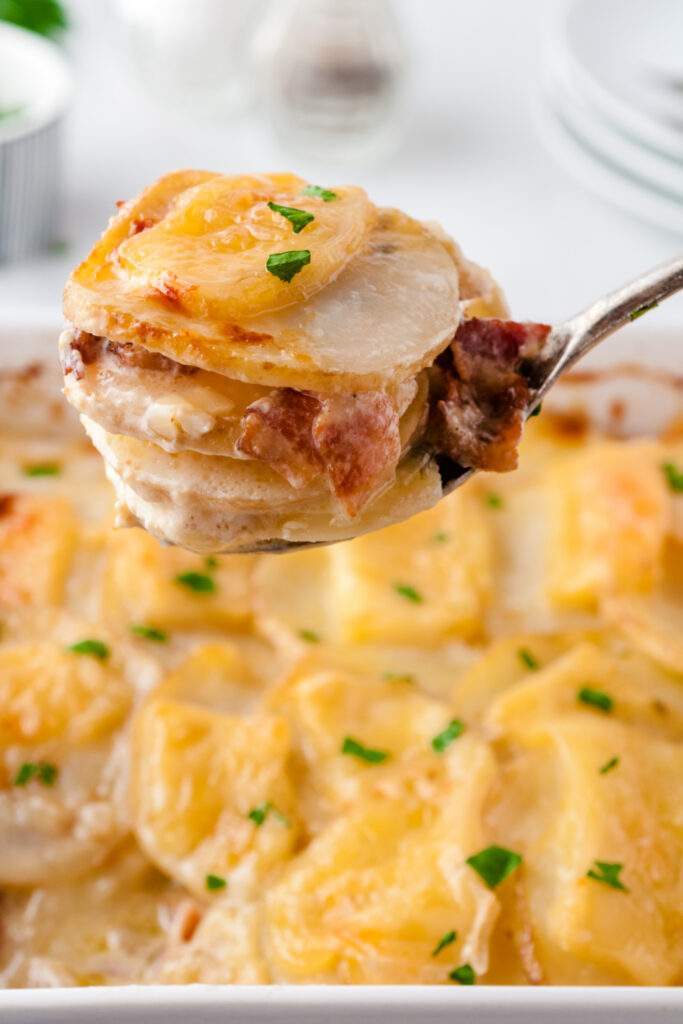 scooping up cheesy scalloped potatoes with bacon