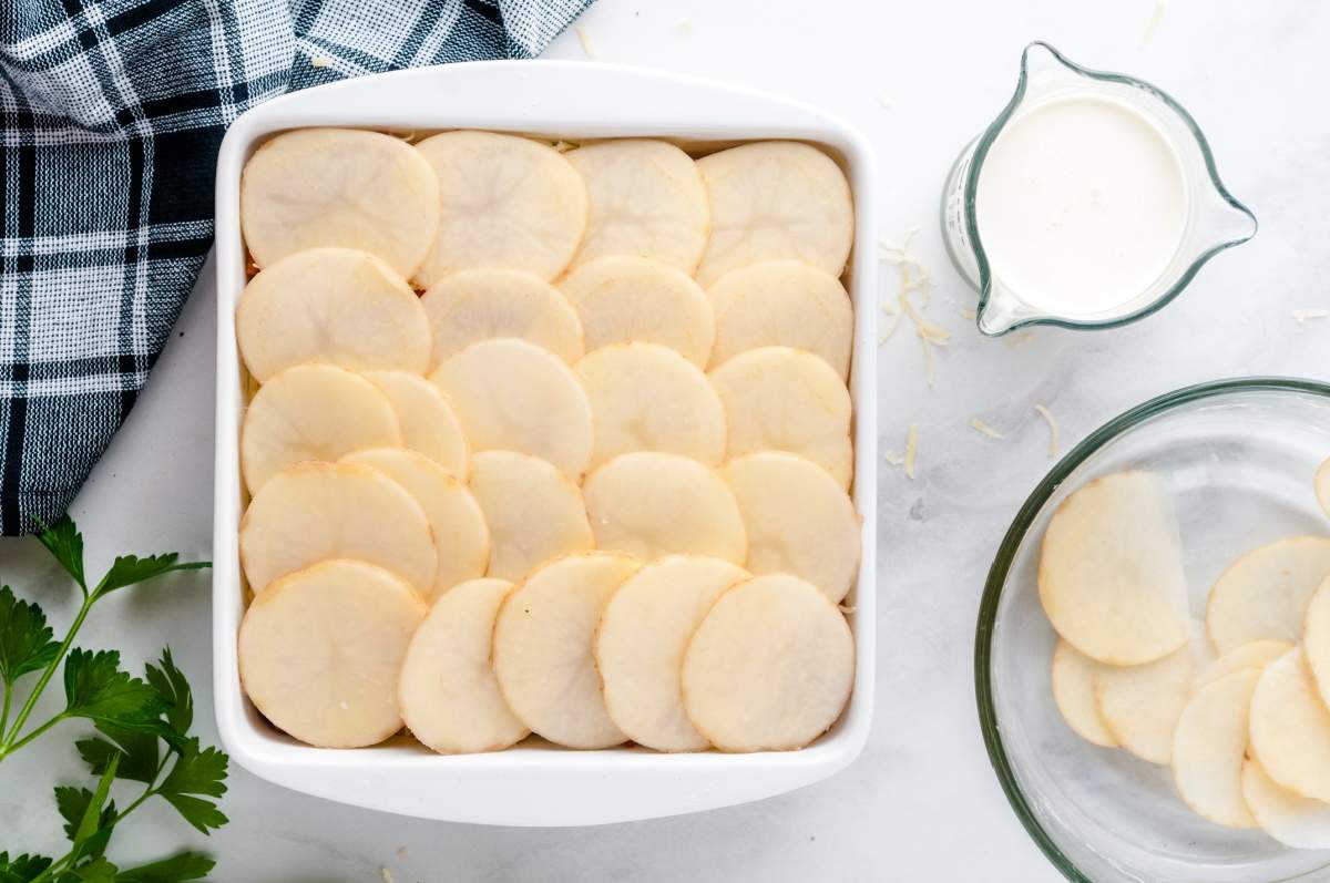 layer of potatoes added to top of shredded cheese