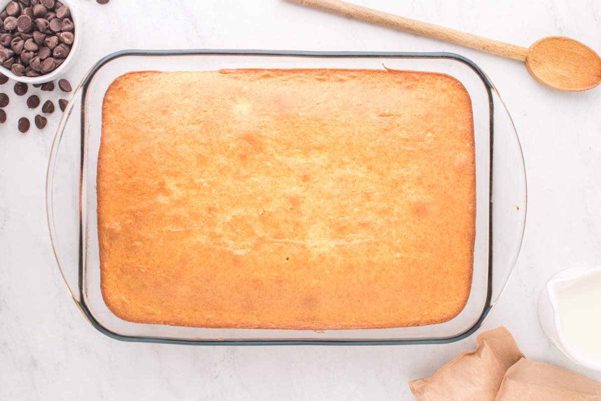 baked cake in cake pan