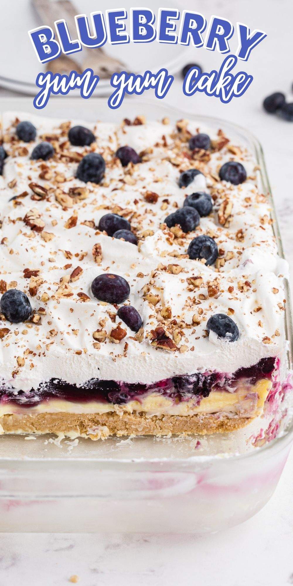 This Blueberry Yum Yum Cake is a refreshing layered cake dessert that’s perfect for a party, casual BBQ social or whenever you want a creamy dessert. via @familyfresh