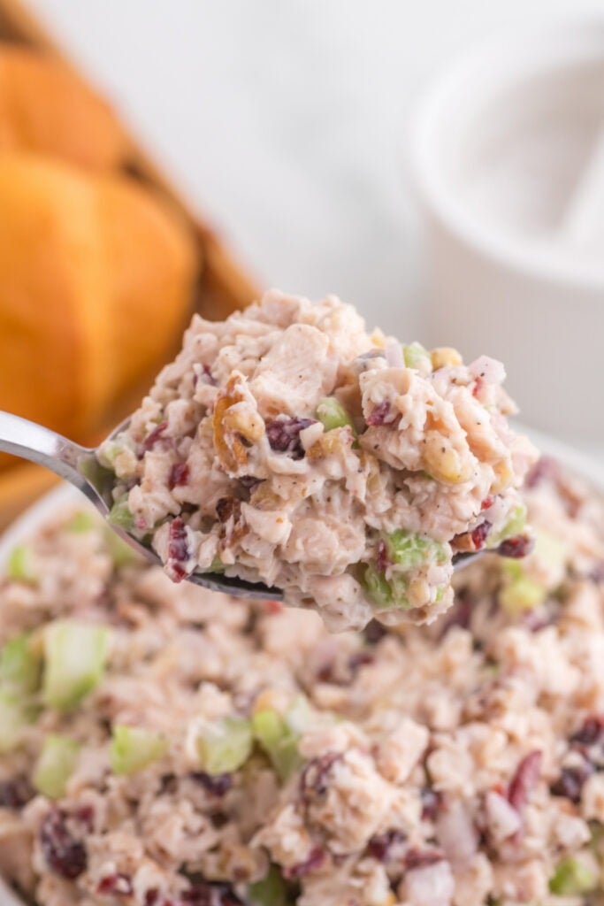 Spoon scooping up some Cranberry Pecan Chicken Salad Recipe
