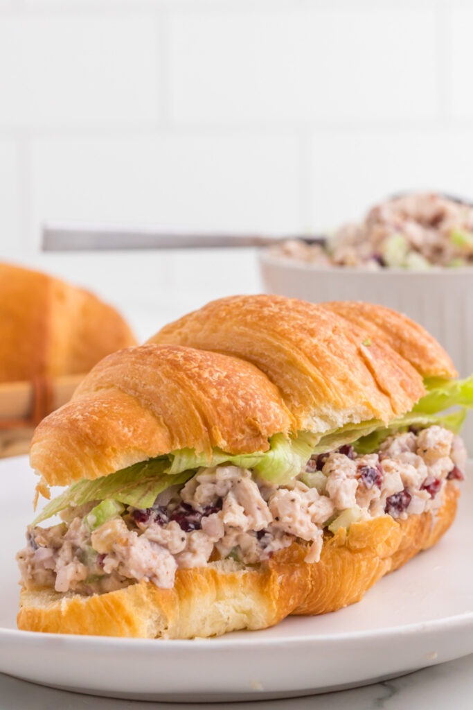 Cranberry Pecan Chicken Salad on a croissant 