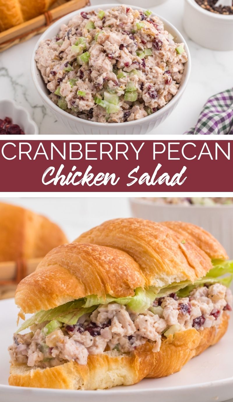 This Cranberry Pecan Chicken Salad Recipe has juicy chicken mixed with sweet cranberries, crunchy pecans, and creamy mayo - yum, right? via @familyfresh
