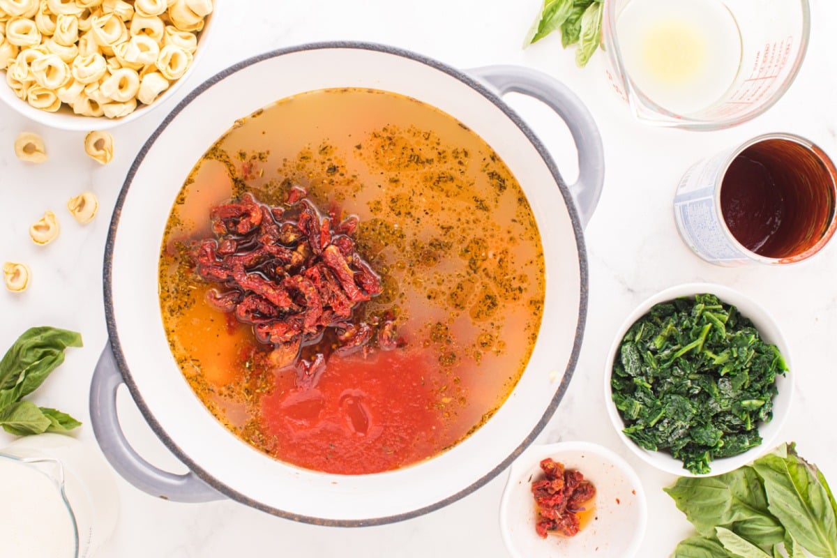 vegetable broth, tomato sauce, and the sun-dried tomatoes added to pot