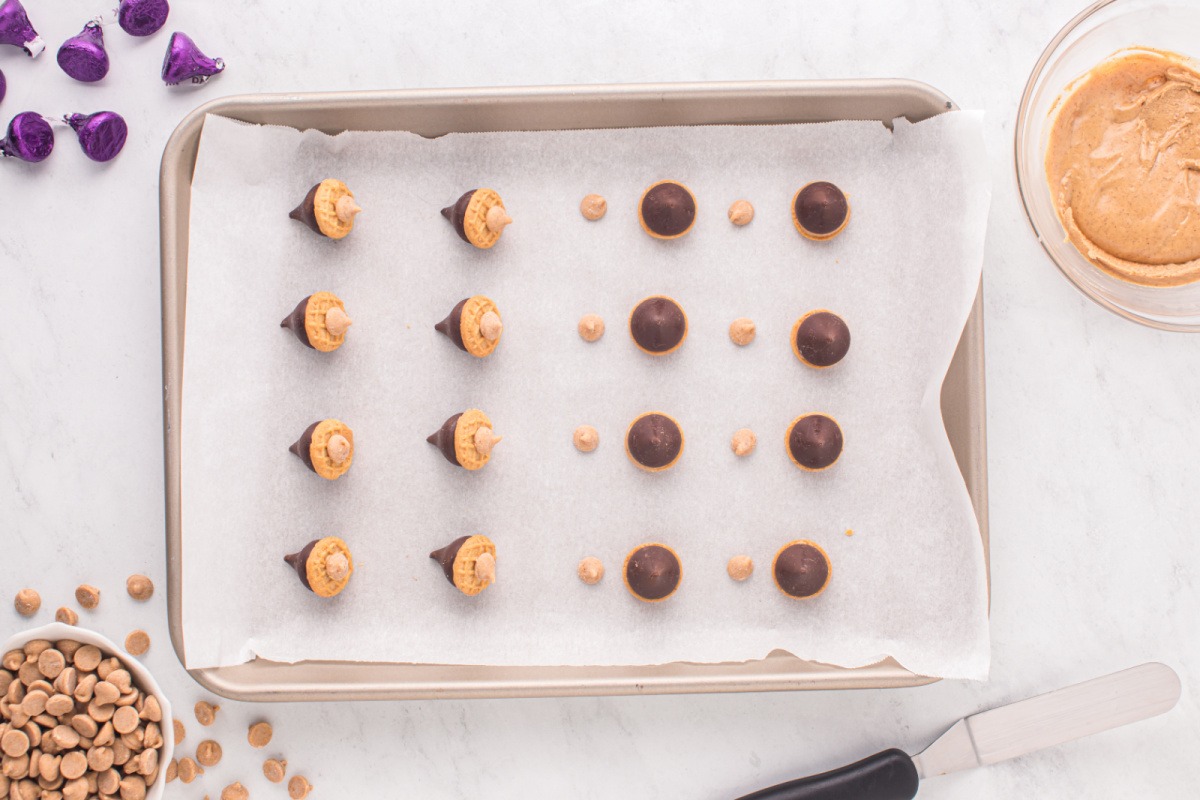 acorn cookies on baking sheet