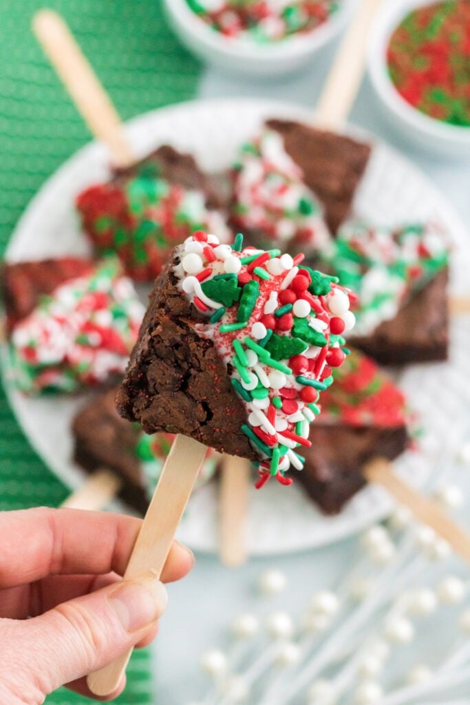 hand holding a brownie pop 