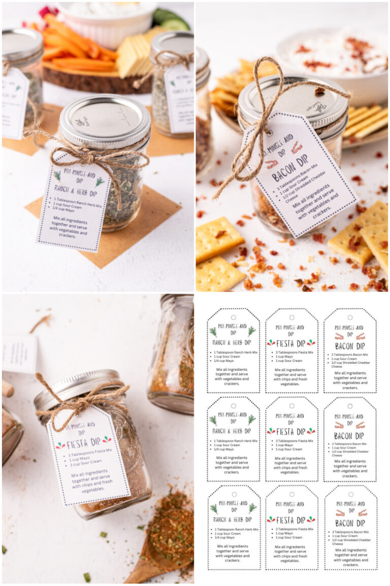 Mason Jar Dry Dip Mixes with Free Printable