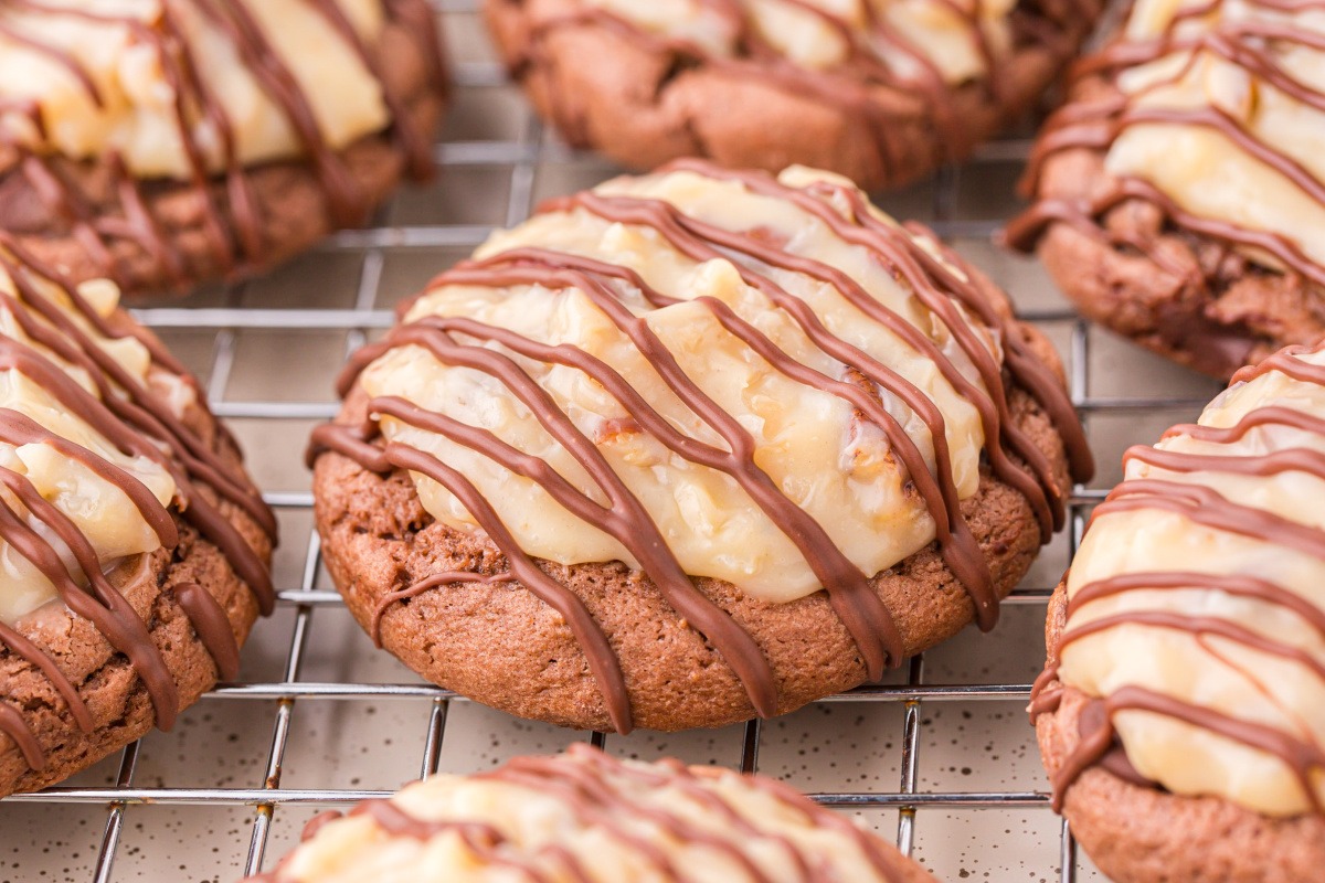 chocolate drizzled over cookies