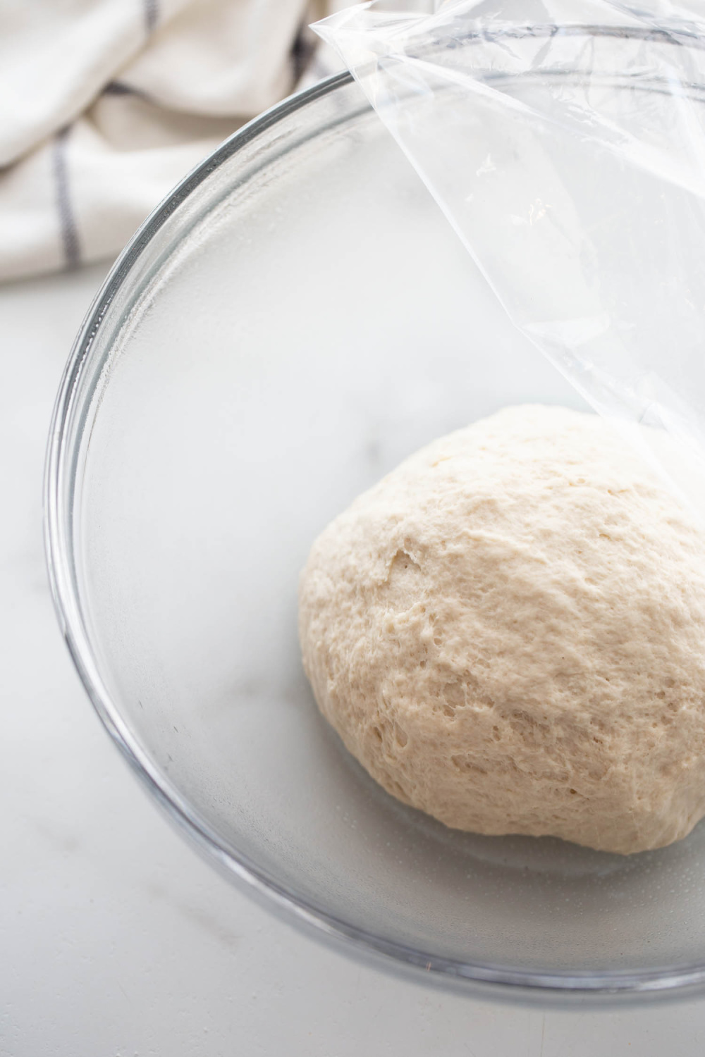 dough in a bowl