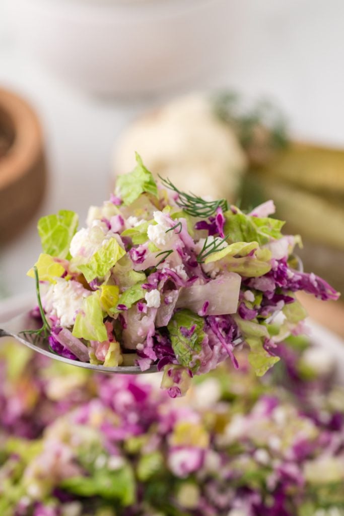 Dill pickle salad on a fork