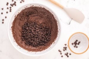chocolate chips added to brownie batter