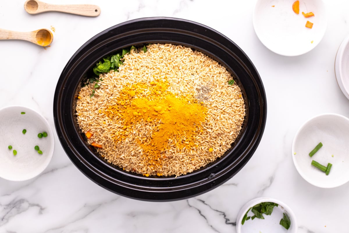 Ingredients for Homemade Slow Cooker Dog Food in a crockpot