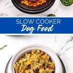 Homemade Slow Cooker Dog Food - Family Fresh Meals