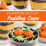 Pumpkin Patch Pudding Cups recipe from Family Fresh Meals
