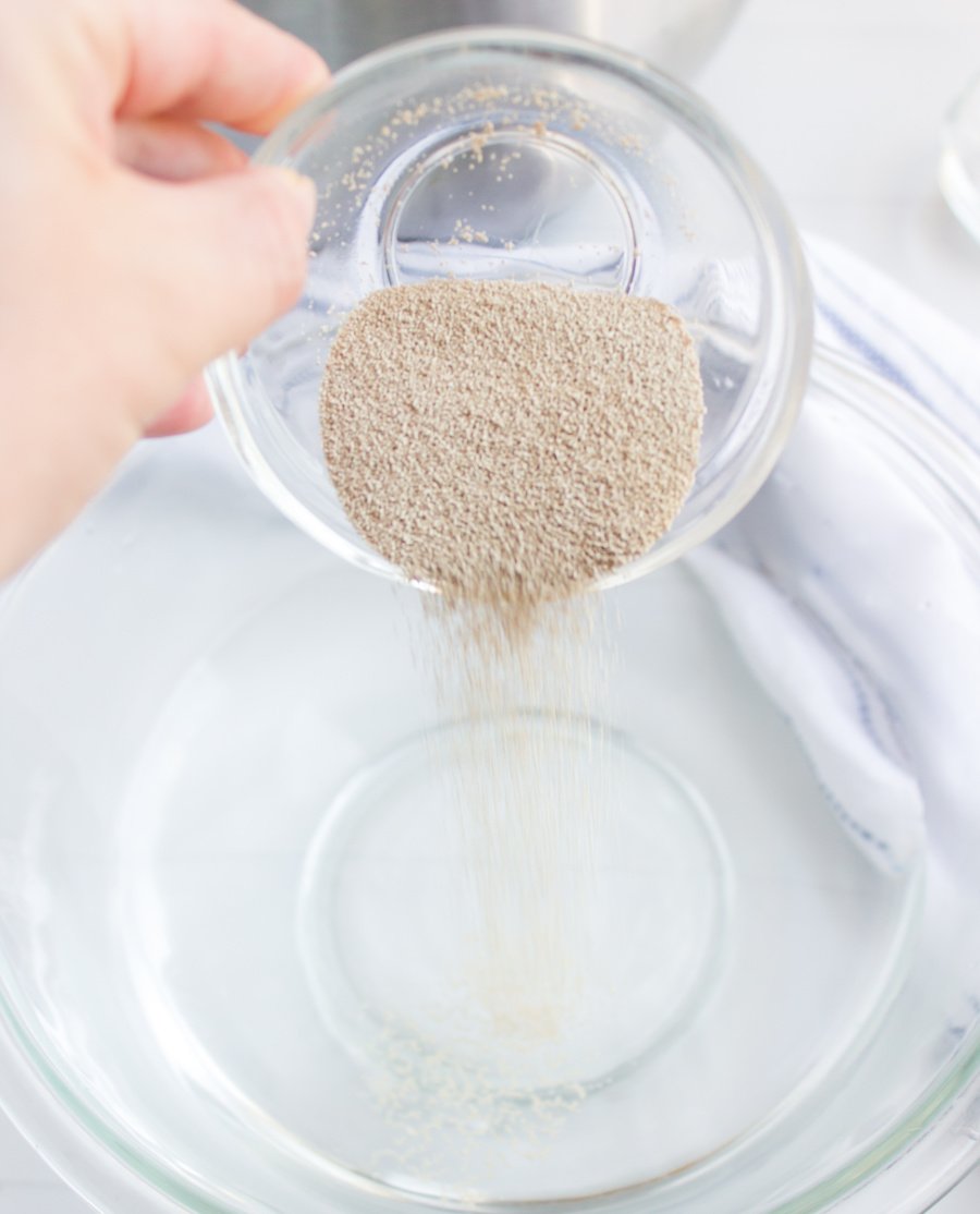 adding yeast to bowl of water