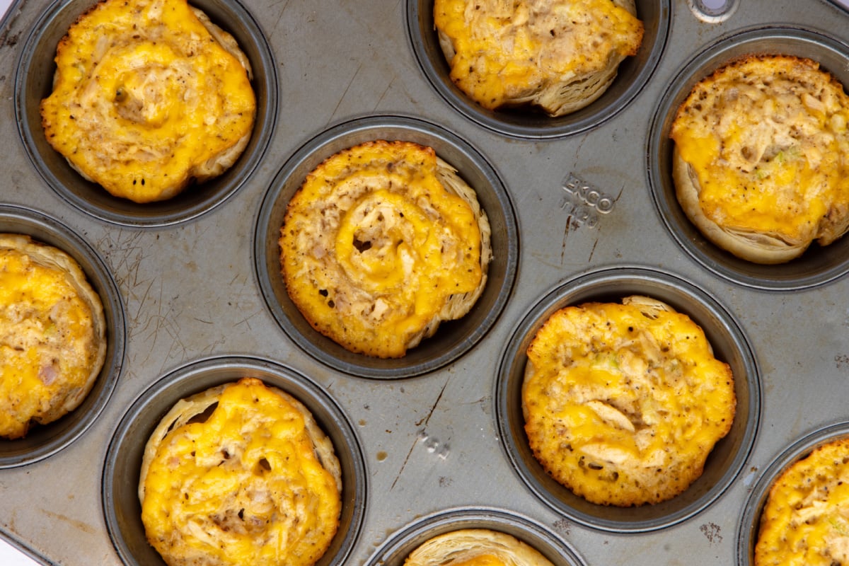baked tuna melt bites in muffin tin