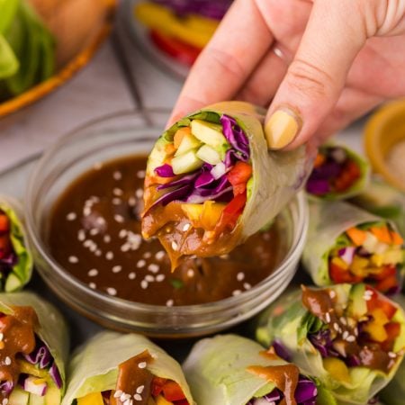hand holding Vegetable Spring Rolls with Peanut Sauce