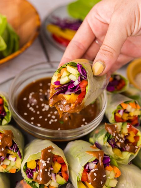 hand holding Vegetable Spring Rolls with Peanut Sauce