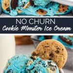 No Churn Cookie Monster Ice Cream recipe from family fresh meals