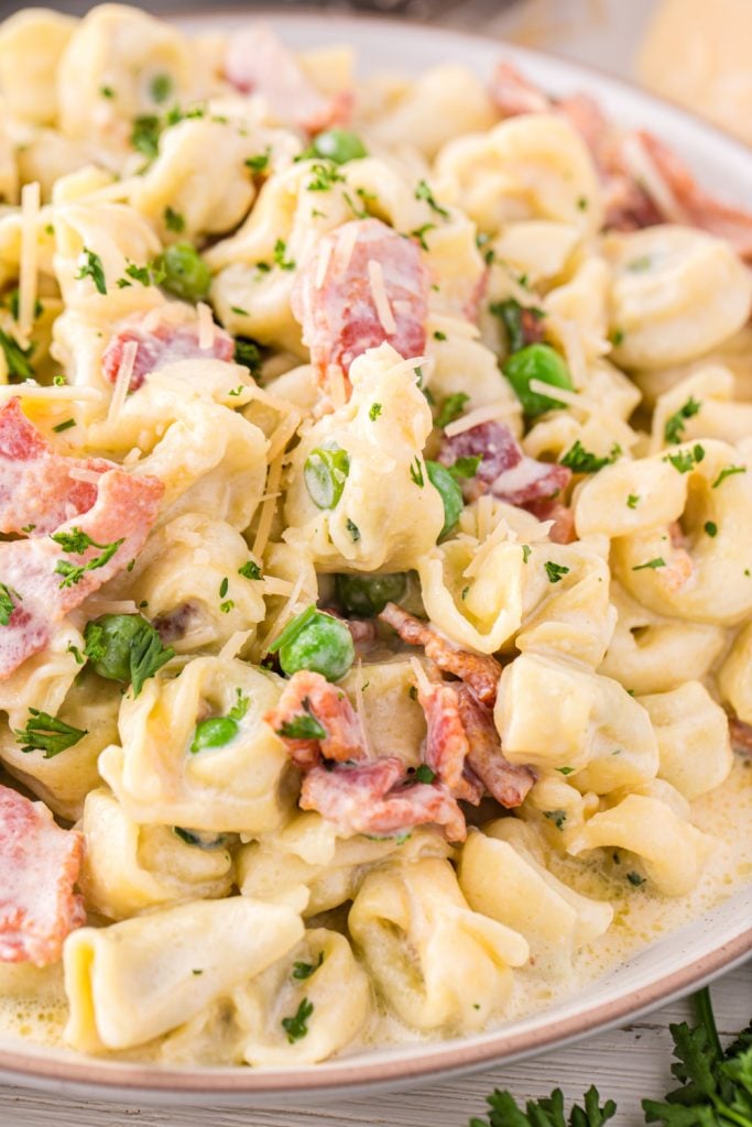 tortellini carbonara on plate