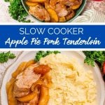 Slow Cooker Apple Pie Pork Tenderloin Recipe