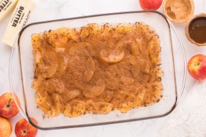 pumpkin pie spice sprinkled on top of apples