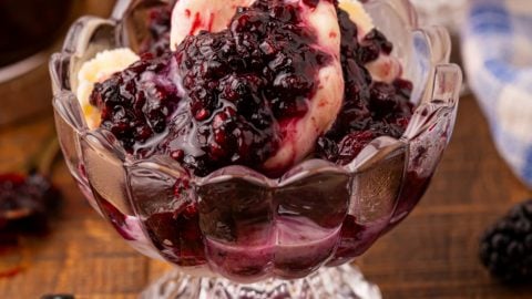 3 Ingredient Blackberry Jam - Family Fresh Meals