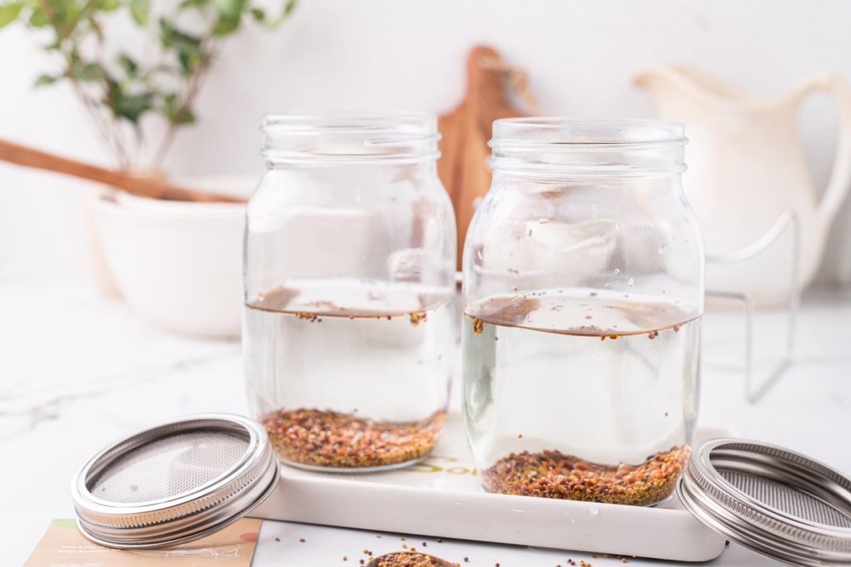 soaking micro sprouts seeds in jars